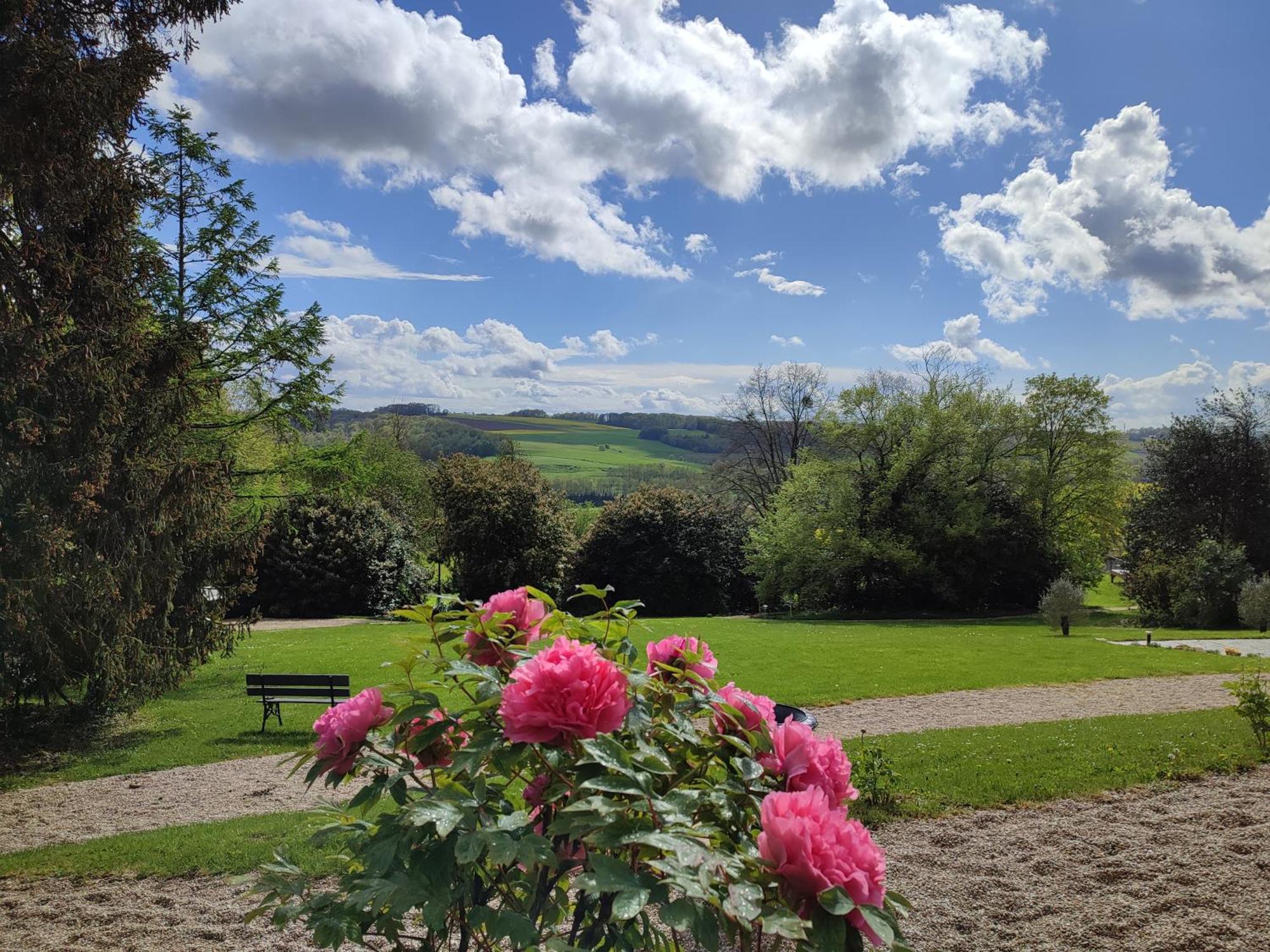 Demeure De La Garenne Bed & Breakfast Montmirail  Екстериор снимка